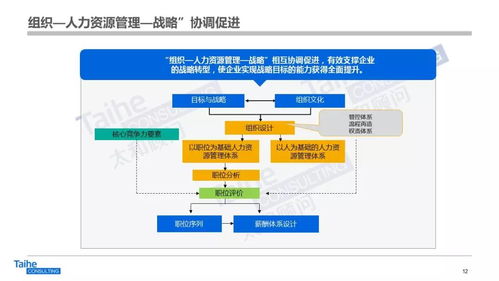 構建以網絡技術開發為驅動的人力資源管理體系，助力企業實現跨越式發展
