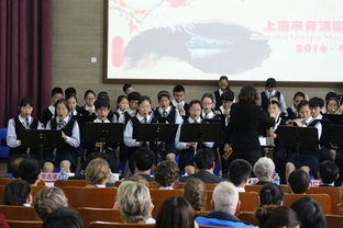 新西蘭霍克斯灣管弦樂團與實驗中學攜手共促文化藝術(shù)交流