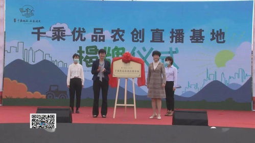 呂藝鎮啟動紅色高家渡文化旅游暨萬壽菊賞花活動，以花為媒深化文化藝術交流